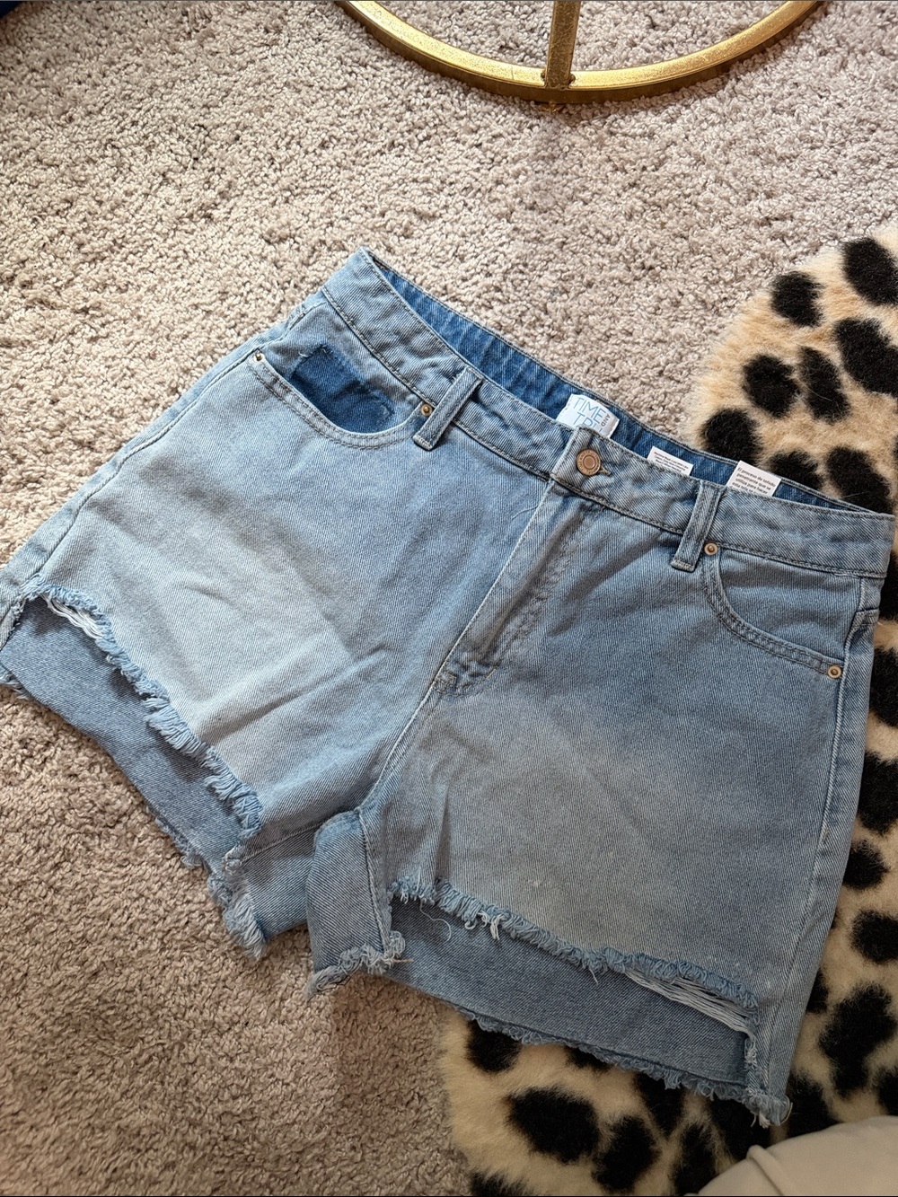 Time and Tru Light Blue Frayed Hem Denim Shorts